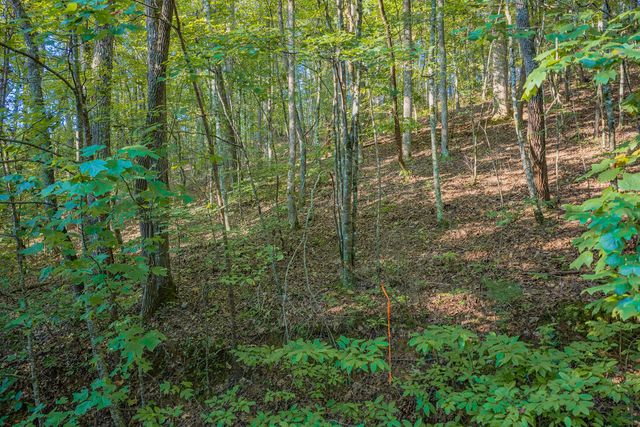 Lot 1905 Finale Street, Talking Rock, GA 30175