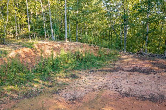 Lot 1905 Finale Street, Talking Rock, GA 30175