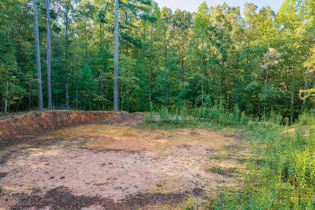 Lot 1905 Finale Street, Talking Rock, GA 30175