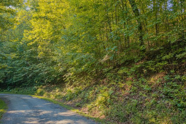 Lot 1905 Finale Street, Talking Rock, GA 30175