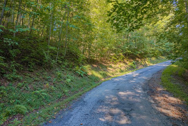 Lot 1905 Finale Street, Talking Rock, GA 30175