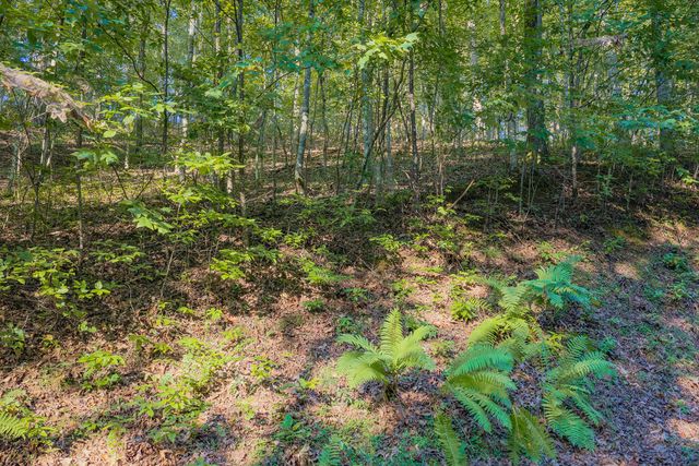 Lot 1905 Finale Street, Talking Rock, GA 30175