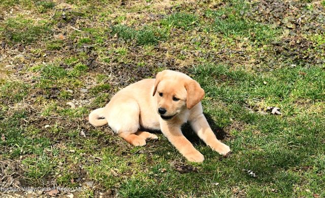 131 Sr 82, Hudson, NY 12534