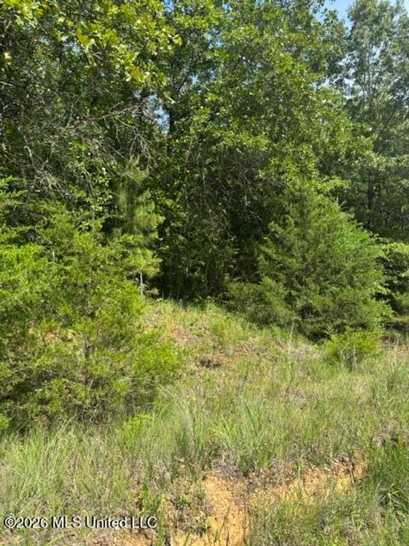 139 David Cove, Byhalia, MS 38611 — exterior