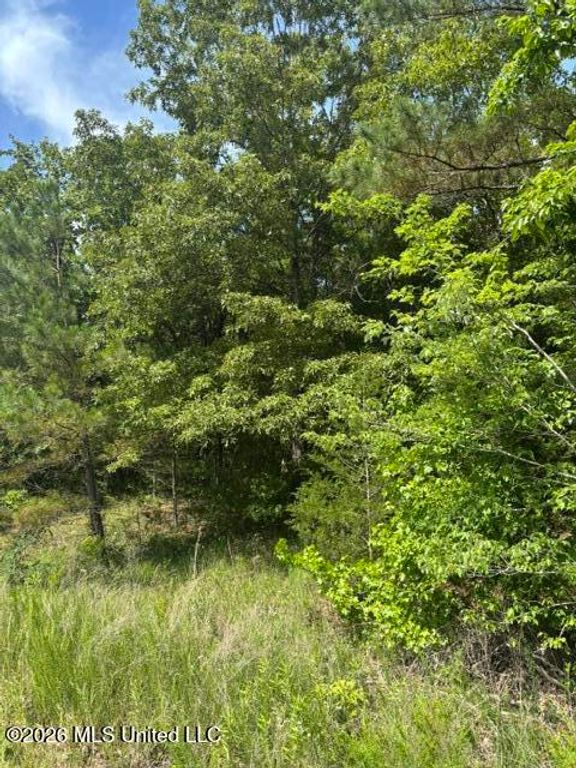 139 David Cove, Byhalia, MS 38611 — photo 2