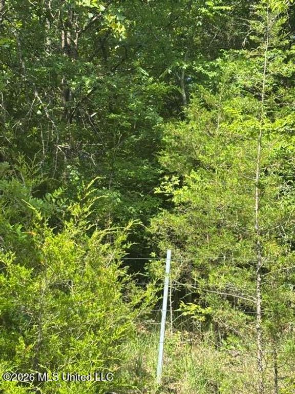 139 David Cove, Byhalia, MS 38611 — photo 3