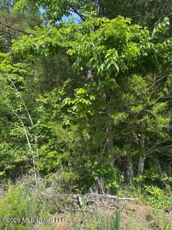 139 David Cove, Byhalia, MS 38611 — photo 4