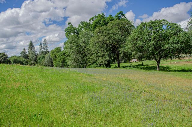 2640 Hoboken Creek Rd, Greenwood, CA 95635