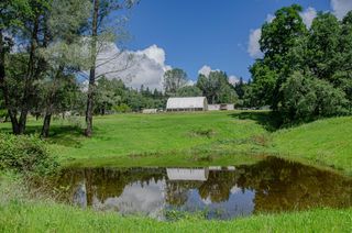 2640 Hoboken Creek Rd, Greenwood, CA 95635