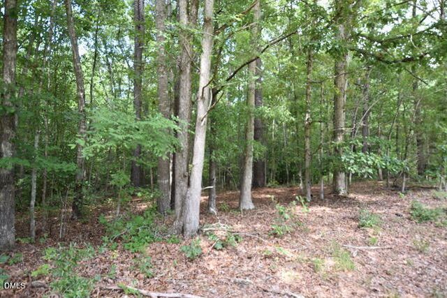 00 Garner Road, Snow Camp, NC 27349