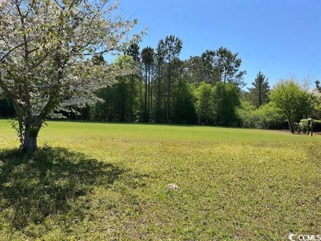 12727 Ocean Hwy., Pawleys Island, SC 29585