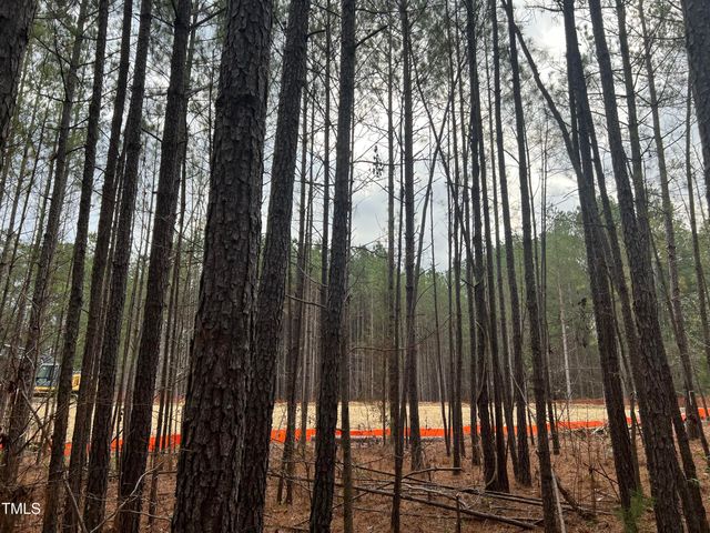 36 Anfield Road, New Hill, NC 27562