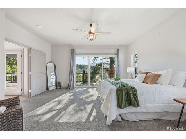 955 Locklin Way, Woodland Park, CO 80863