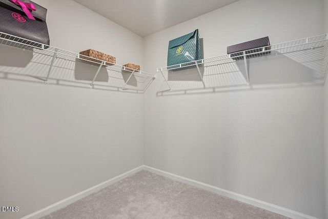 253 Eden View Bend, Raleigh, NC 27610