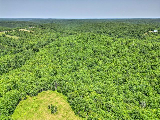 0 Ridgetop Rd, Hampshire, TN 38461