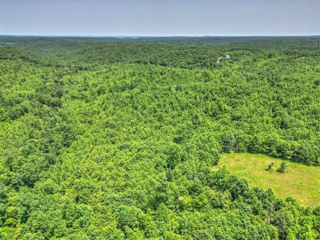 0 Ridgetop Rd, Hampshire, TN 38461
