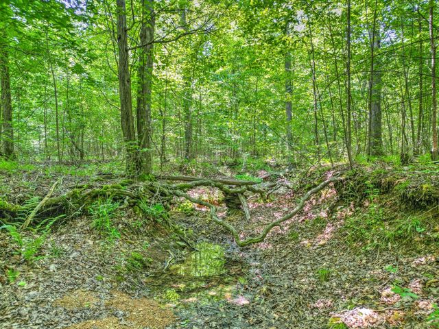 0 Ridgetop Rd, Hampshire, TN 38461