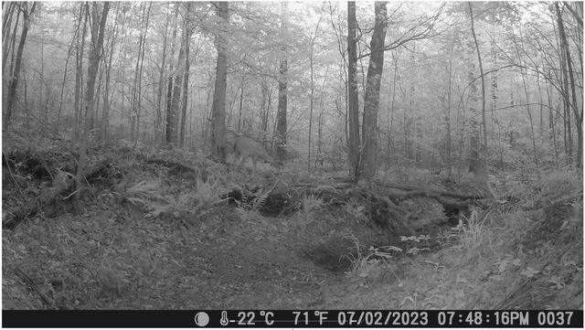 0 Ridgetop Rd, Hampshire, TN 38461