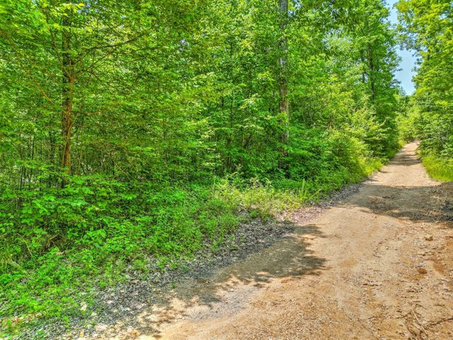 0 Ridgetop Rd, Hampshire, TN 38461