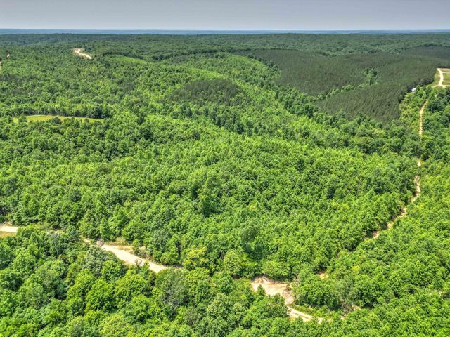 0 Ridgetop Rd, Hampshire, TN 38461