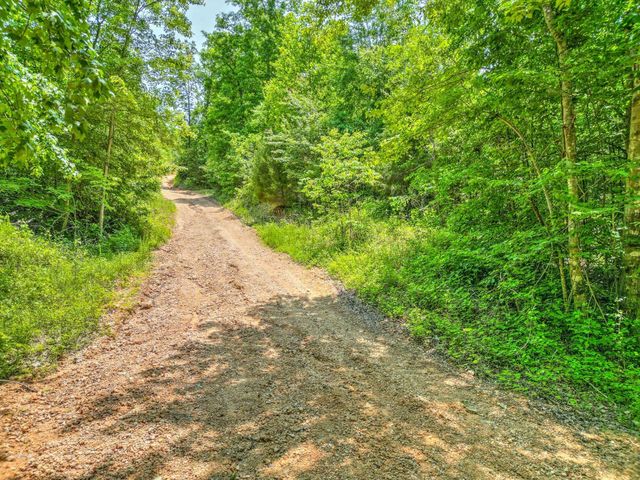 0 Ridgetop Rd, Hampshire, TN 38461