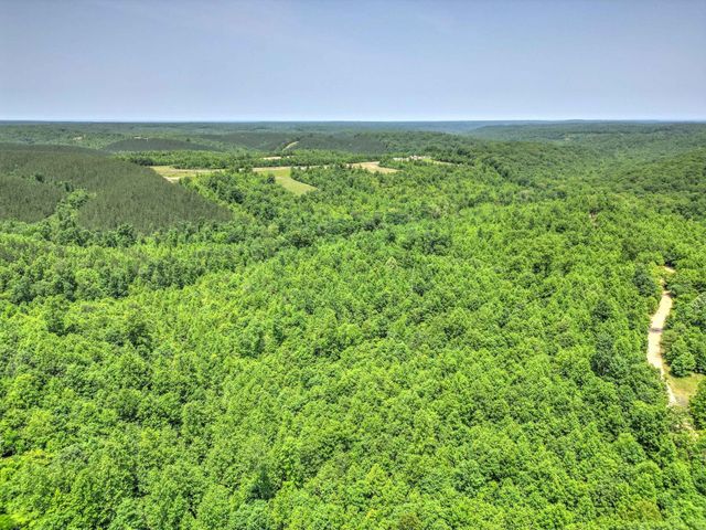 0 Ridgetop Rd, Hampshire, TN 38461