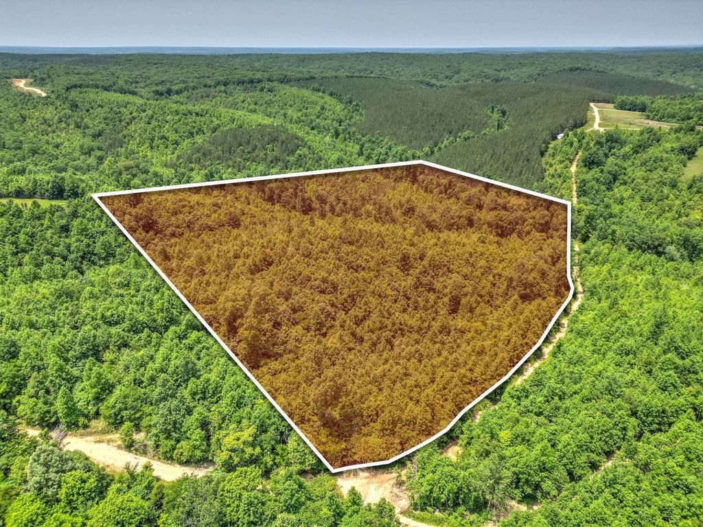 0 Ridgetop Rd, Hampshire, TN 38461