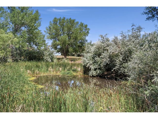 6291 County Road 20, Longmont, CO 80504
