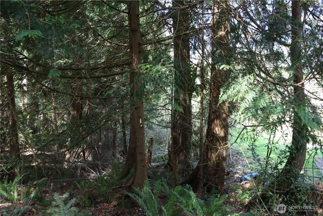 260 XX SE 18th Place, Sammamish, WA 98075