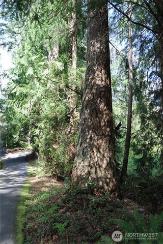 260 XX SE 18th Place, Sammamish, WA 98075