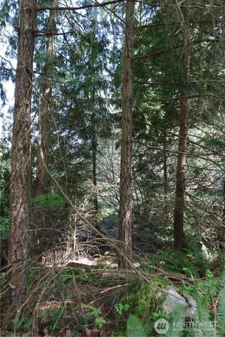 260 XX SE 18th Place, Sammamish, WA 98075