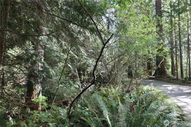 260 XX SE 18th Place, Sammamish, WA 98075