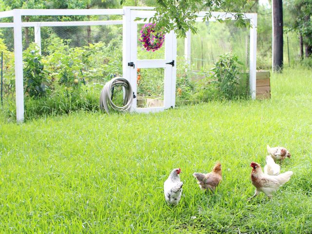 26718 Stagecoach Crossing Drive, Magnolia, TX 77355