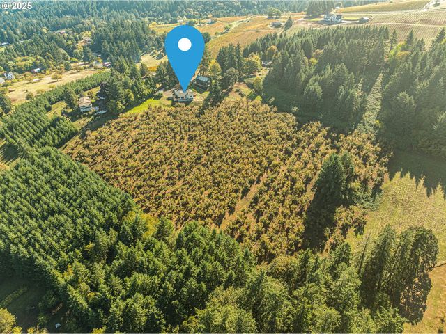 20805 Ne BIG FIR Ln, Dundee, OR 97115