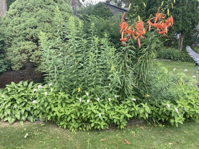 2306 Woodcrest Drive, Portage, WI 53901