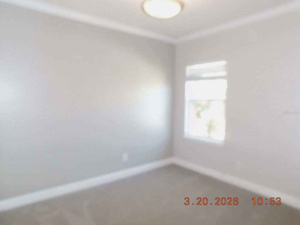 Image 11 of property listing at 10706 DOC BRITTLE STREET, New Port Richey, FL 34655