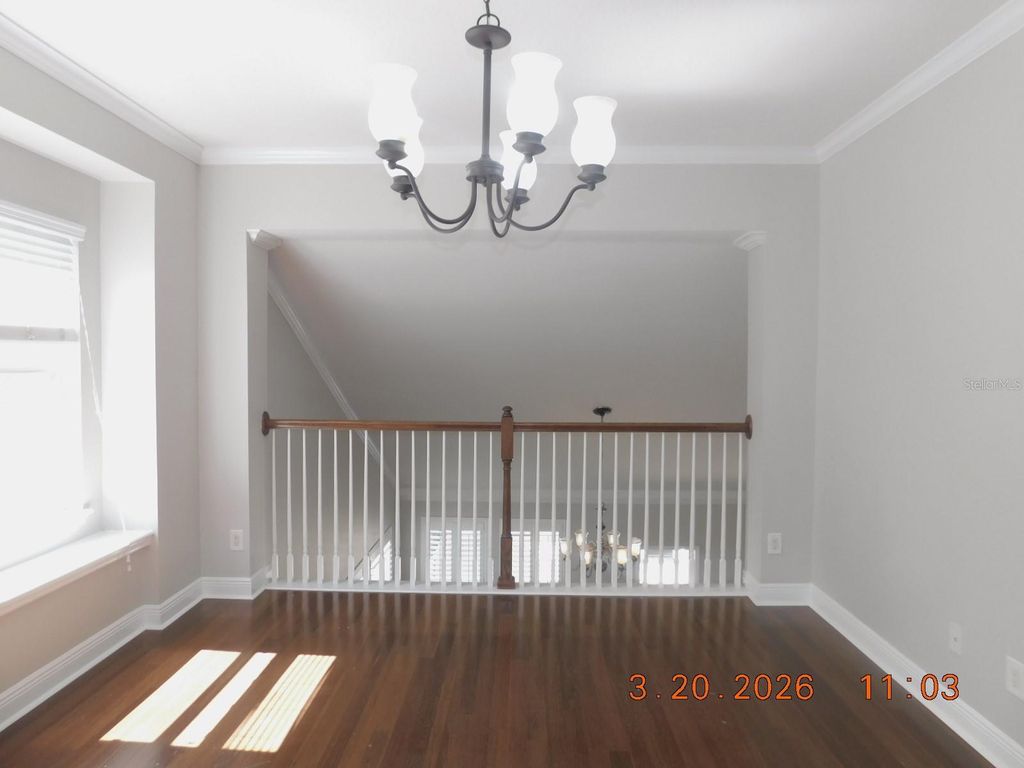 Image 16 of property listing at 10706 DOC BRITTLE STREET, New Port Richey, FL 34655