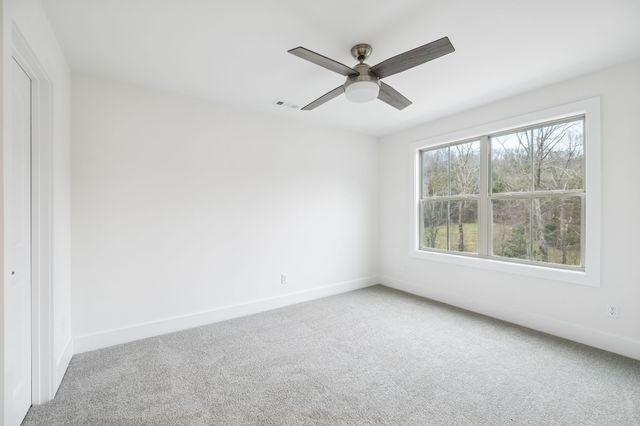 1561 Opossum Paw Rd, Beechgrove, TN 37018