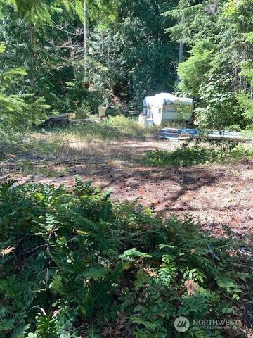440 W Cushman Ridge Drive, Hoodsport, WA 98548
