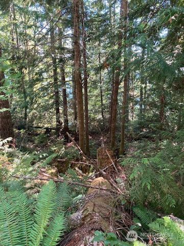 440 W Cushman Ridge Drive, Hoodsport, WA 98548