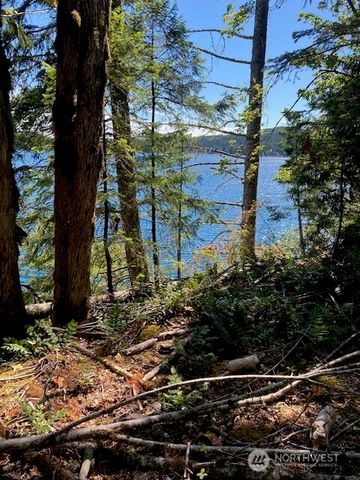 440 W Cushman Ridge Drive, Hoodsport, WA 98548