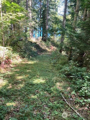 440 W Cushman Ridge Drive, Hoodsport, WA 98548