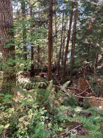 440 W Cushman Ridge Drive, Hoodsport, WA 98548