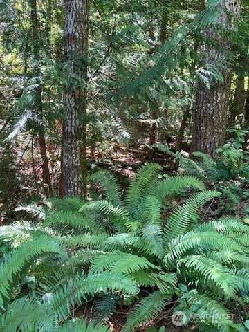 440 W Cushman Ridge Drive, Hoodsport, WA 98548