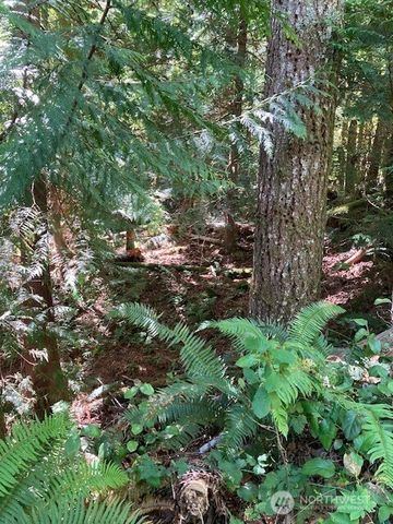 440 W Cushman Ridge Drive, Hoodsport, WA 98548