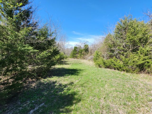 15957 County Road 566, Farmersville, TX 75442