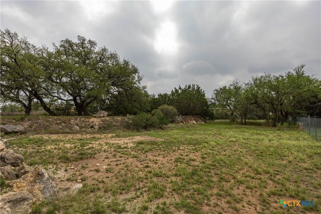 1645 Agarita Drive, Fischer, TX 78623