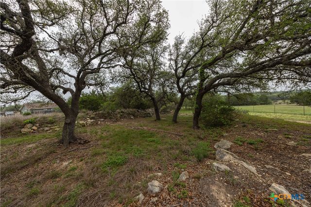 1645 Agarita Drive, Fischer, TX 78623