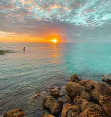 7006 MIDNIGHT PASS ROAD 2, Sarasota, FL 34242