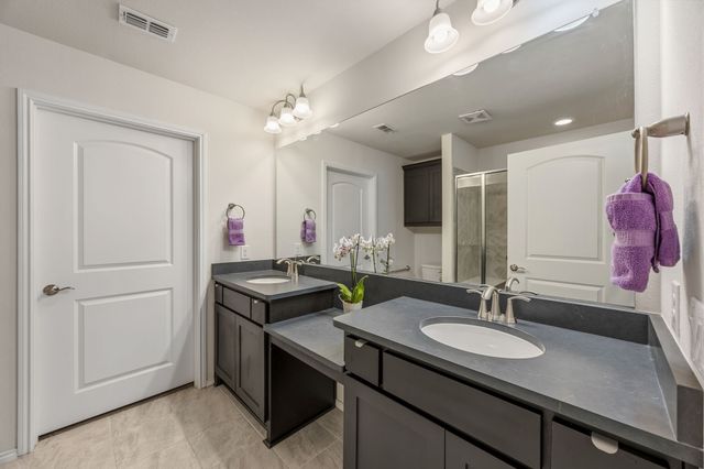 1231 Freedom Lane, Little Elm, TX 76227